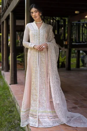 Anika - Mushq - Roohi