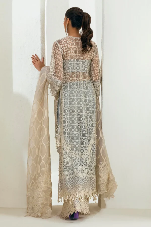 N242-001-3CT - Sana Safinaz | Nura Festive'24 Vol. II - Image 3