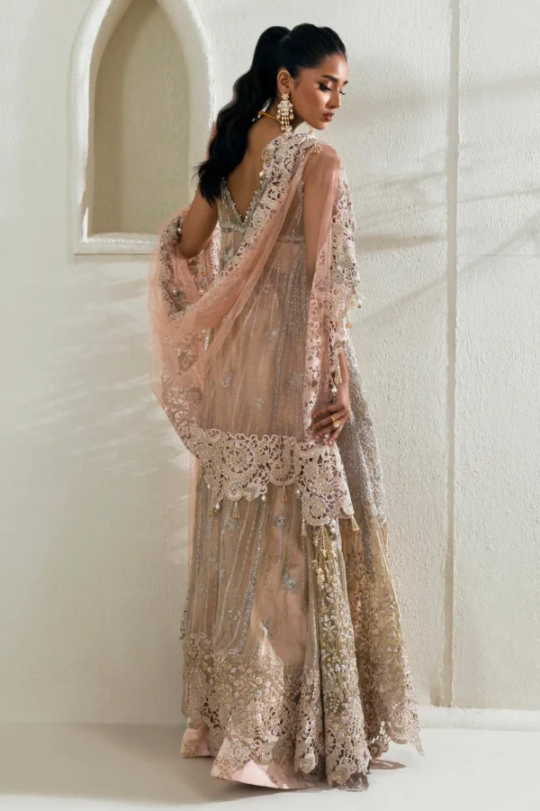 N242-003-3CT - Sana Safinaz | Nura Festive'24 Vol. II - Image 3