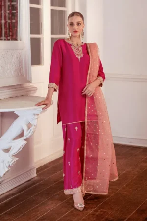 Ayleen - Zainab Chottani - Janiyaan Formals