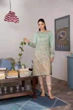 Design 2B SN Basics - Sobia Nazir - SN Basics '24