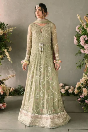 Namar - Mushq - Mastani Evening