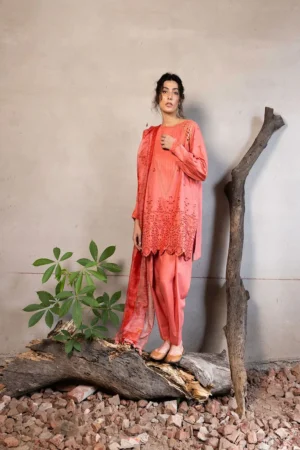 Design 6B - Sobia Nazir - Fall Edit '24