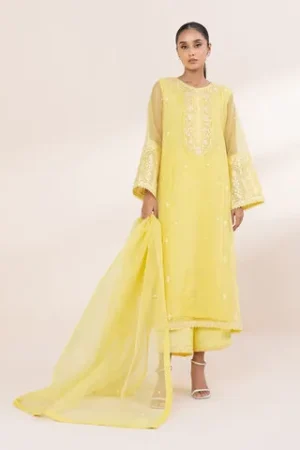 3 Piece - Embroidered Organza Suit – Sapphire – Festive ’24