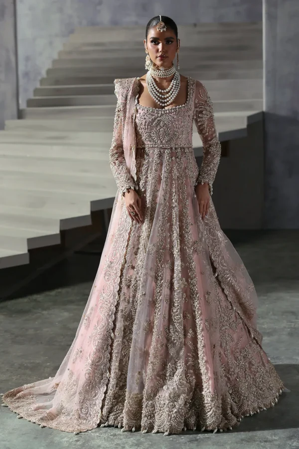 Sofia By Afrozeh The Brides Edit
