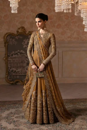 Faiza Saqlain Velvet Luxury Ismene | Ermina