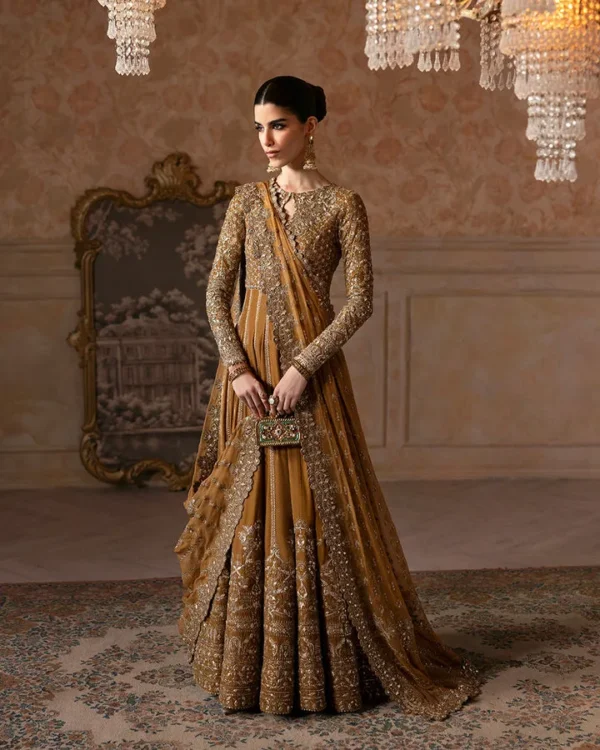 Faiza Saqlain Velvet Luxury Ismene | Ermina