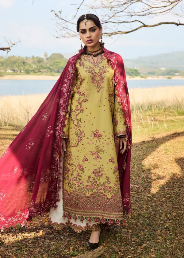 Hussain Rehar Luxury Lawn 25 - Minted