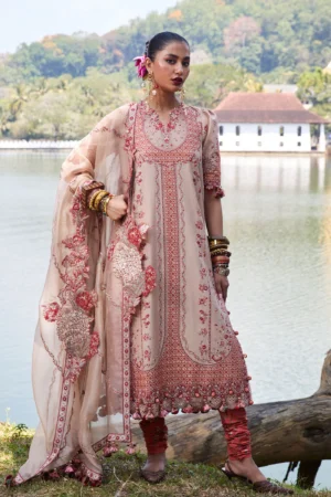 Hussain Rehar Luxury Lawn 25 - Mari