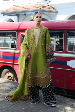 Hussain Rehar Luxury Lawn 25 - Abass