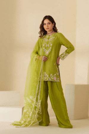 Mina Hasan Chikankari 25 - Raheema