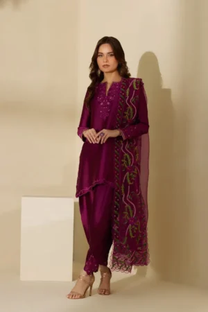 Mina Hasan Chikankari 25 - Saara