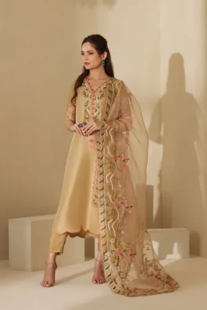 Mina Hasan Chikankari 25 - Areeba