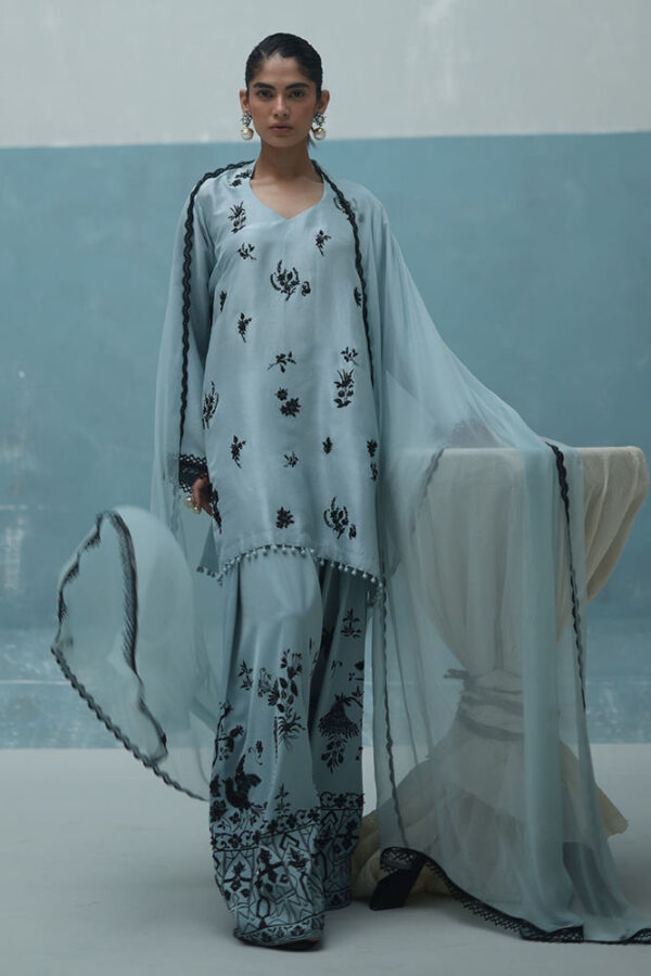 Rozina Munib Spring Summer 25 - SS25-14