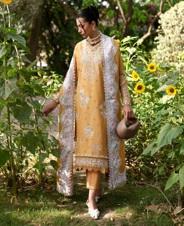 Republic Emroidered pret 25 - M-150