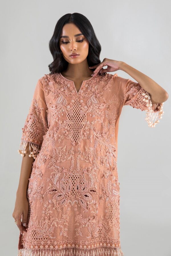 Sana Safinaz Luxury Pret - SS24FOR220P2T