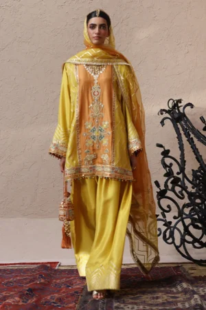 Rozina Munib Lashkara Festive Couture - L25-23