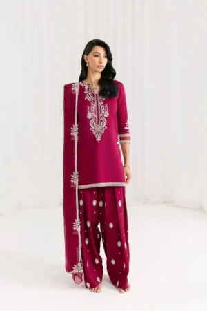 Saira Rizwan Silk Pret 25 - Anera - Srsp-25-02