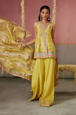 Farah Talib Aziz Festive Prints - Zaria Kiwi