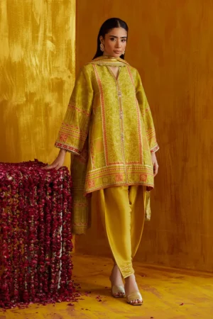 Farah Talib Aziz Festive Prints - Nevada Kiwi