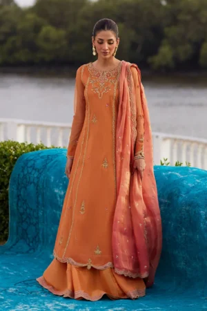 Farah Talib Aziz Mayna Festive Luxe Pret - Anarkali Apricot