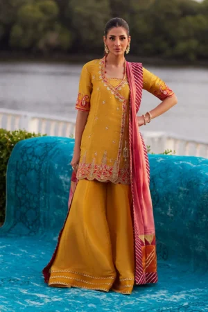 Farah Talib Aziz Mayna Festive Luxe Pret - Henna Saffron