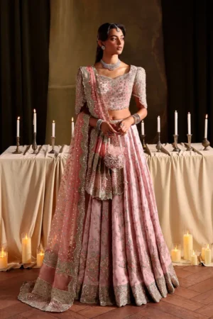 Faiza Saqlain Zaeva Luxury Velvet Edit 25 - Vanna