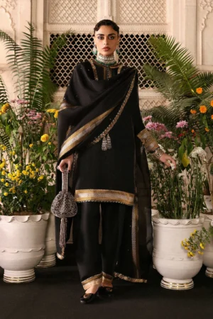 Hussain Rehar Luxury Pret 25 - Noctira