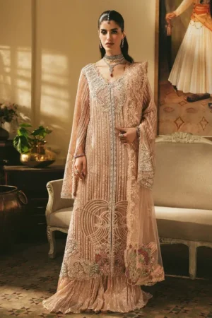 Saira Shakira Wedding Festive 26 - Roseate