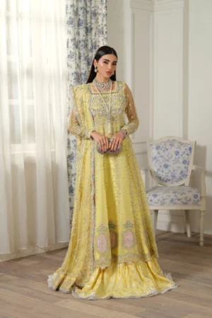 Maryam Hussain Embroidered Chiffon - Ghazal