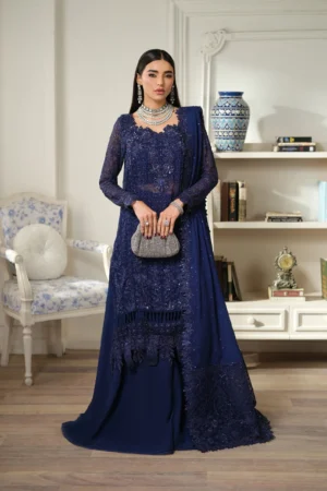 Maryam Hussain Embroidered Chiffon - Vasal