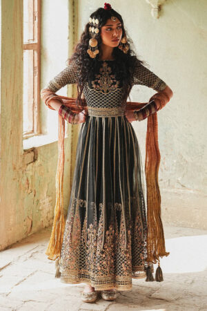 Mohsin Naveed Ranjha Luxury Pret 26 - Ronak-e-Chaman