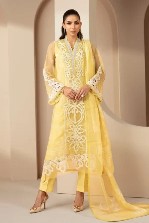 Maria B Embroidered Lawn - DS-2604-A