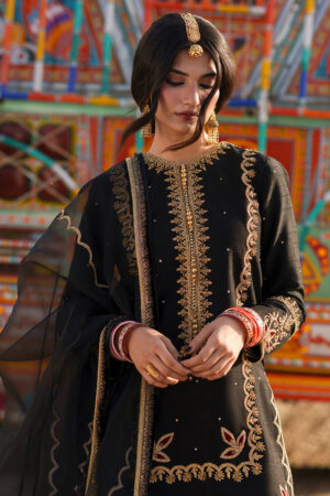 Mohsin Naveed Ranjha Punjab Festive Edit - Pannu