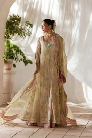 Suffuse Freeshia 26 - Rosha features refined embroidery and graceful hues, perfect for timeless festive and formal wear. Shop Now!